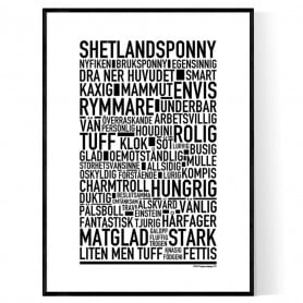 Shetlandsponny Poster